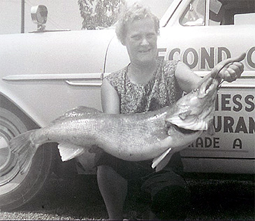 Record photograph for Sander vitreus